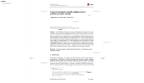 Corporate greening in a large developing economy: pollution prevention strategies